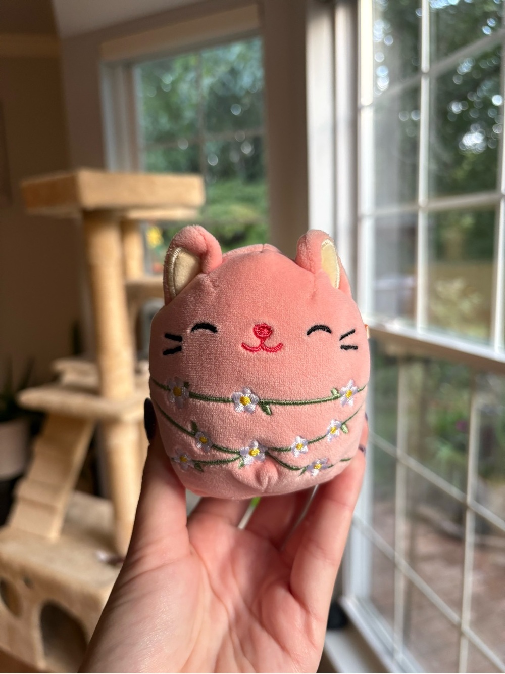 Wilka the Squishmallows Pink Cat Plush with Embroidered Daisy Vines NWOT 4in